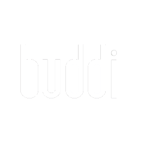 buddi295small