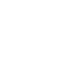 qld295